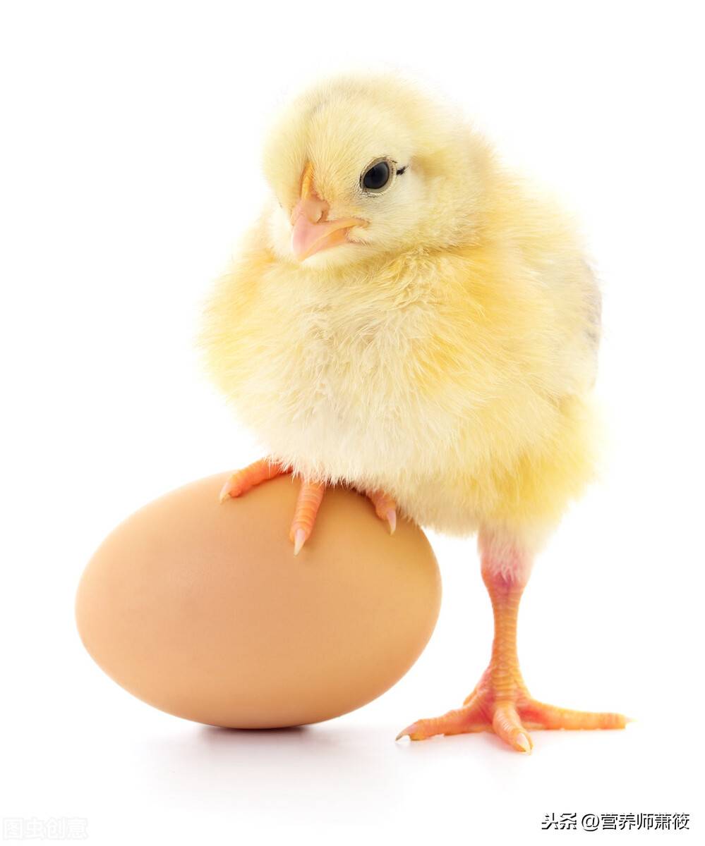 鸡蛋为什么煮不熟(无菌蛋能煮熟吗)